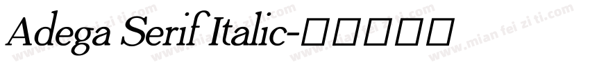 Adega Serif Italic字体转换